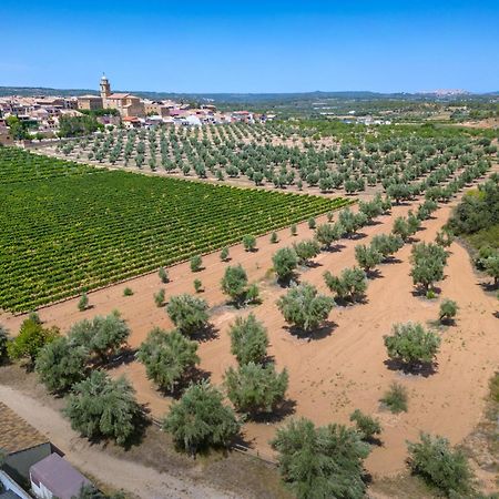 Hotel & Resort Vilar Rural D'Arnes By Serhs Hotels Sant Carlos de la Ràpita Zewnętrze zdjęcie
