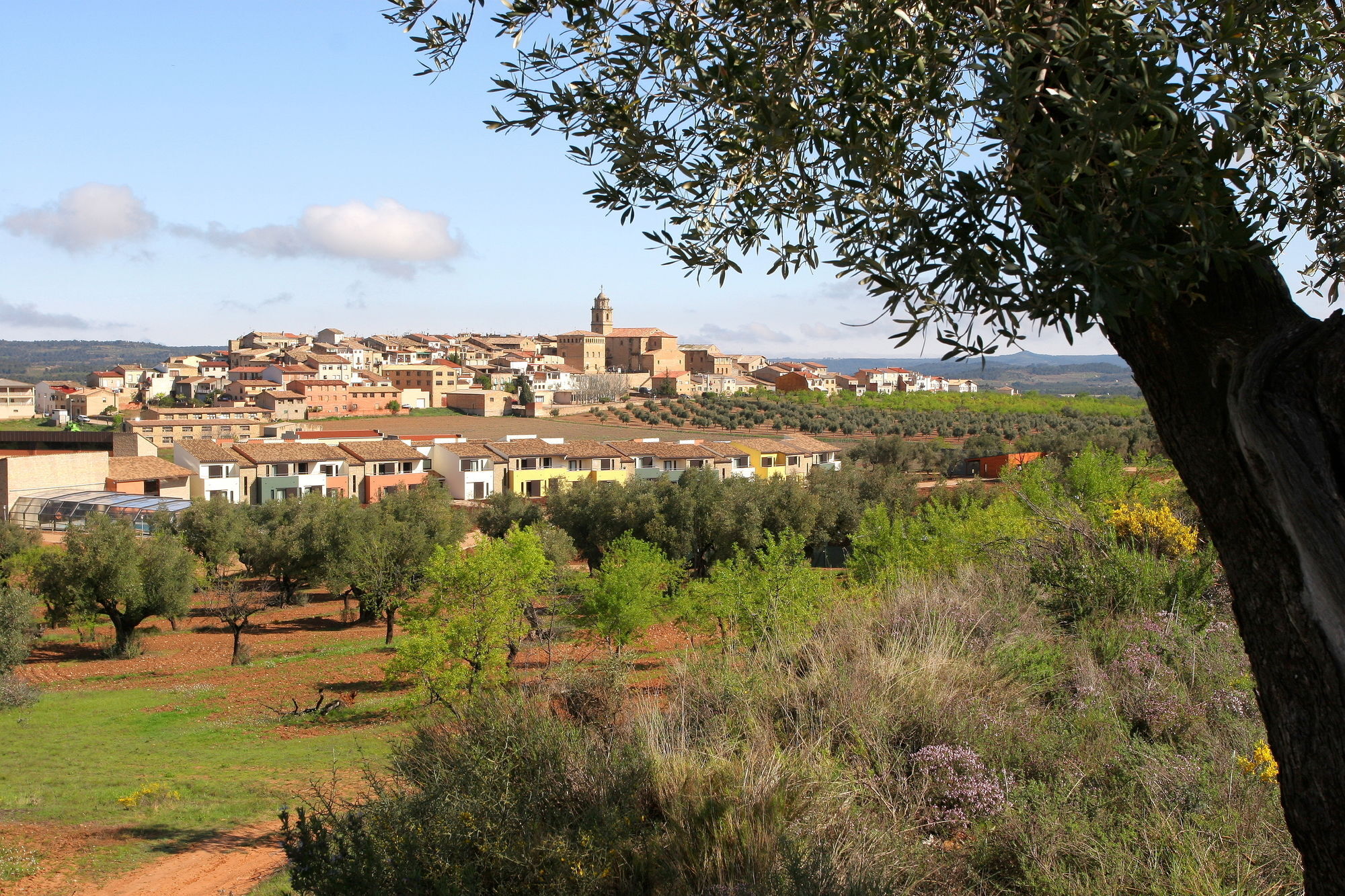 Hotel & Resort Vilar Rural D'Arnes By Serhs Hotels Sant Carlos de la Ràpita Zewnętrze zdjęcie